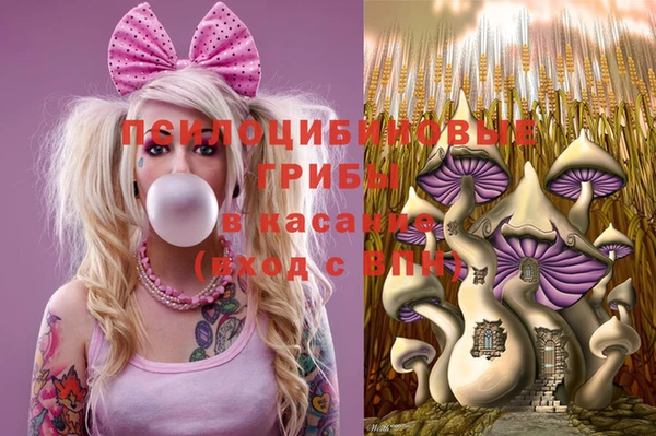 стафф Баксан