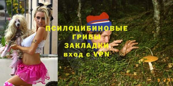 стафф Баксан